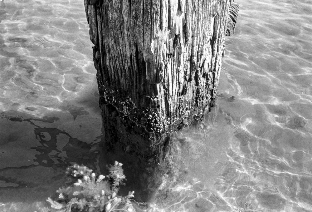iii, 2024 — beach