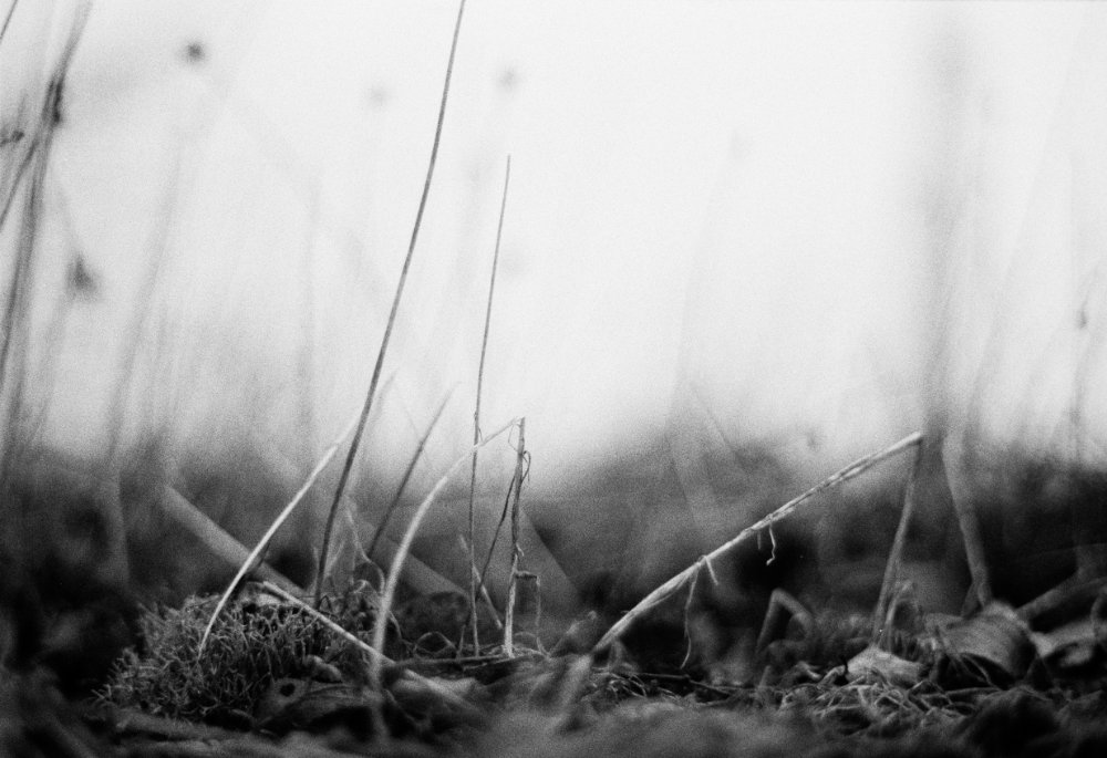 untitled v, 2024 — street & details