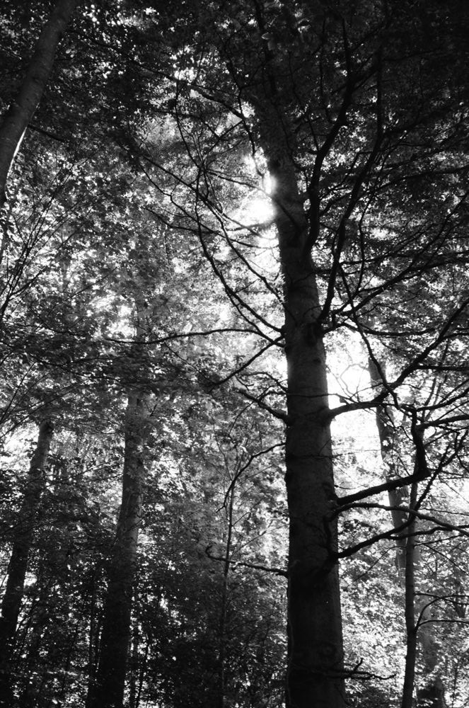 untitled i, 2023 — landscapes