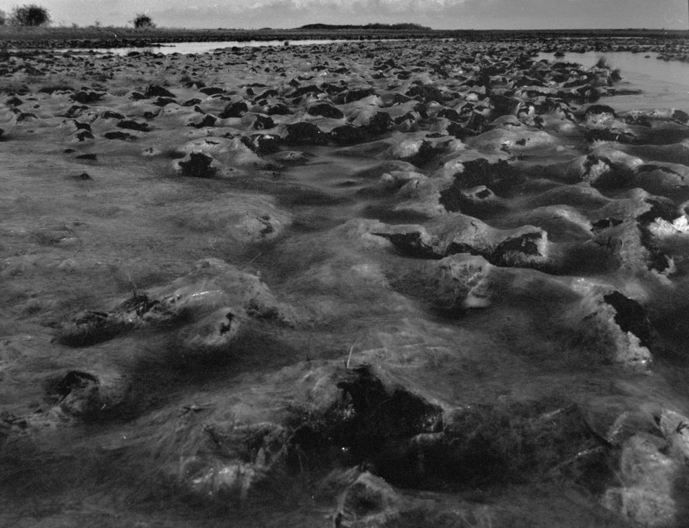 untitled iii, 2025 — landscapes