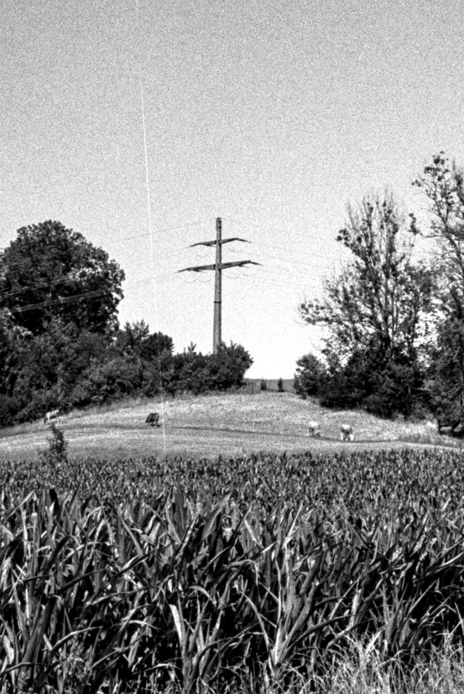 untitled ii, 2024 — landscapes