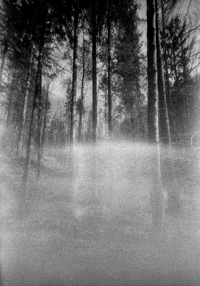 untitled iii, 2025 — dreams
