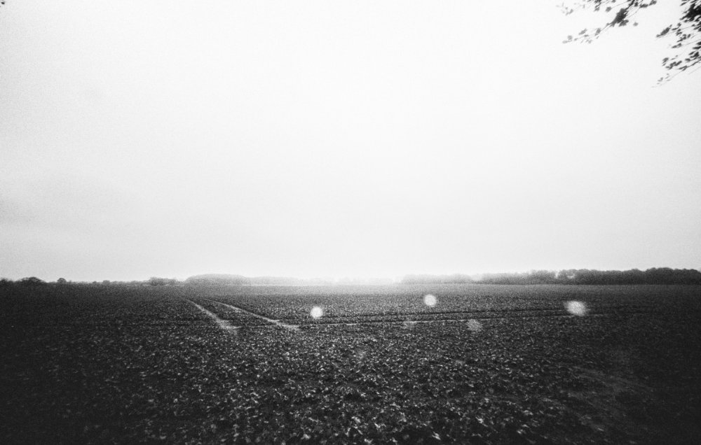 untitled iv, 2025 — dreams